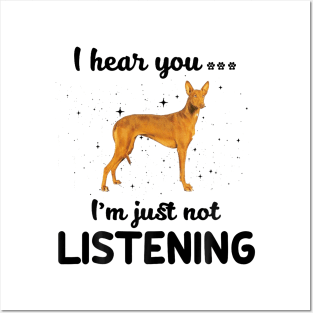 Pharaoh Hound I hear you Iam just not listening Posters and Art